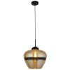 Champagne-Glass-and-Black-Metal-pendant