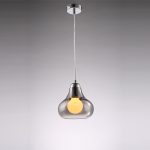 Pendant-with-Smoking-Gray-Shade- with golden shaded