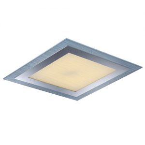 new one Shinny-White-LED-Ceiling