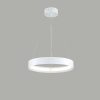 Top quality and Modern LED Pendant
