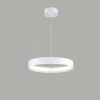 Matt-White-LED-Pendant-with-Clear-Opal-Acrylic-Shade