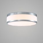 New Wenge led ceiling lamp