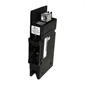 Circuit Breaker 100A 125VDC Panel